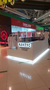Фотография Кактус 3