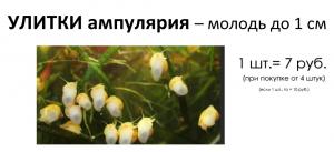 Фотография Альфа-Вестник 5