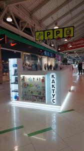 Фотография Кактус 2