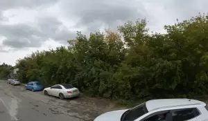 Фотография Типография Палитра 0