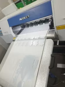 Фотография Какаду Принт 4