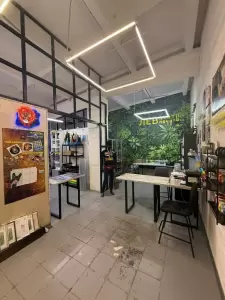 Фотография Лев 2