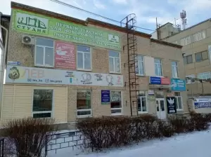 Фотография Лев 0